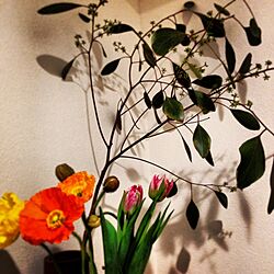 玄関/入り口/花のインテリア実例 - 2014-01-22 20:23:53
