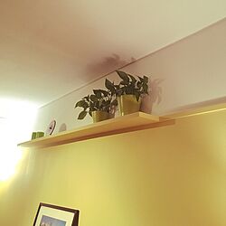 壁/天井/ディスプレイ/飾り棚/セルフデザイン/照明のインテリア実例 - 2017-04-01 02:05:45