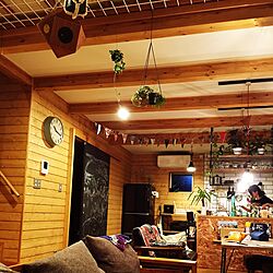 壁/天井/BESSの家/観葉植物/カフェ風/照明のインテリア実例 - 2016-08-06 14:10:28