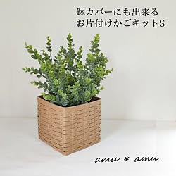 クラフトバンドのカゴ/クラフトバンド/エコクラフトのかご/エコクラフト/エコクラフトキット...などのインテリア実例 - 2024-05-13 17:44:30