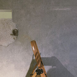 壁紙シート/ムートンラグ/壁/天井のインテリア実例 - 2021-11-06 20:44:47