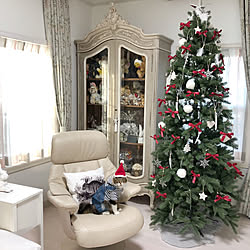 部屋全体/クリスマスツリー/クリスマス/猫と暮らす。/猫のいる日常...などのインテリア実例 - 2018-11-28 22:30:02