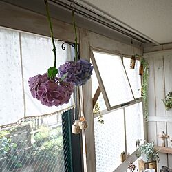壁/天井/紫陽花/DIY窓枠/DIY板壁のインテリア実例 - 2015-07-06 09:21:03