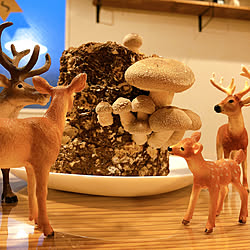 クリスマスディスプレイ/動物フィギュア/Schleich/シュライヒ/吹き抜け...などのインテリア実例 - 2022-12-06 06:30:14