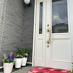 玄関ドア/お花のある生活❁/見て下さって感謝です♡/寄せ植え♥️/玄関/入り口のインテリア実例 - 2021-11-13 16:15:00