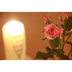 部屋全体/結婚式記念日/サプライズ/バラ/薔薇...などのインテリア実例 - 2020-05-19 14:18:50