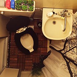 バス/トイレ/DIY/一人暮らし/IKEAのインテリア実例 - 2016-08-30 02:20:37