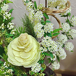 白い花葉牡丹/白い花コデマリ/緑と花と暮らす/見てくれてうれしいです(๑•̀ㅁ•́ฅ✧/みなさんの優しさに感謝❤️...などのインテリア実例 - 2020-02-22 08:20:37