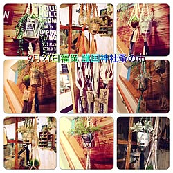 部屋全体/護国神社蚤の市/Gokoku Green Market！/MEN's natural＊/DIY...などのインテリア実例 - 2015-09-17 21:51:05