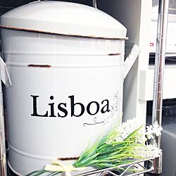 棚/缶/Lisboaのインテリア実例 - 2014-08-26 18:13:09