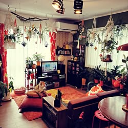 部屋全体/観葉植物/マクラメハンギング/プラントハンガー/ペイント壁...などのインテリア実例 - 2024-05-06 08:04:46