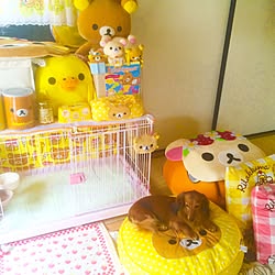 部屋全体/りらっくま/わんこ部屋/DIY/ダックス...などのインテリア実例 - 2016-04-07 23:08:33