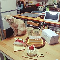 机/ごちゃごちゃキッチン/甘い物/猫部/100均...などのインテリア実例 - 2017-03-12 20:17:56