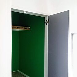 緑/シンコール/壁紙/収納/棚のインテリア実例 - 2021-03-20 16:51:45