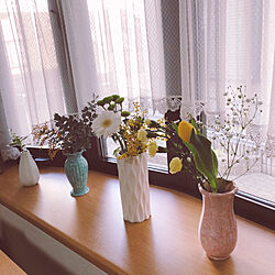 出窓/出窓ディスプレイ/生花のある暮らし/春の模様替え/お花のある暮らし...などのインテリア実例 - 2023-03-19 17:06:05