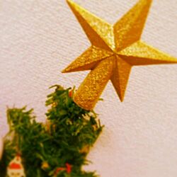 リビング/100均/クリスマスツリー/雑貨のインテリア実例 - 2013-12-01 17:02:41