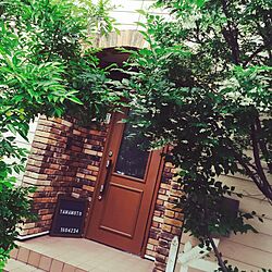 玄関/入り口/植物のインテリア実例 - 2015-05-04 06:34:10