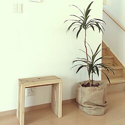 部屋全体/建売/麻袋/ドラセナ/ナチュラル...などのインテリア実例 - 2017-05-22 10:51:19