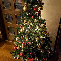 リビング/ニトリ/ダイソー/クリスマスツリー150cmのインテリア実例 - 2021-11-17 01:16:55