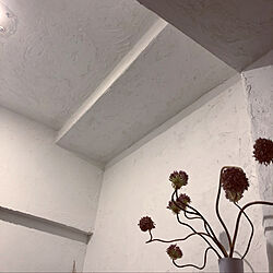 壁/天井のインテリア実例 - 2020-05-31 21:49:00