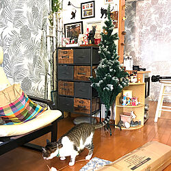 nanaちゃんのクリスマスボックス/先代猫jijiのコーナー/ツリー買いました/ねこのいる風景/紙粘土工作を飾る...などのインテリア実例 - 2021-11-20 11:59:19