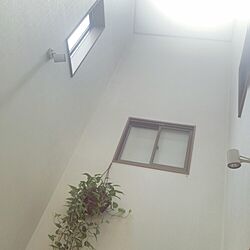 壁/天井/吹き抜けのある家/グリーンのある暮らしのインテリア実例 - 2016-02-19 21:50:37