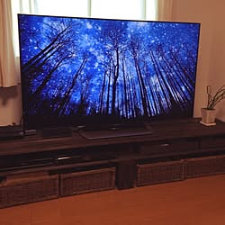 リビング/ChromeCast/テレビ台DIY/テレビ/観葉植物のインテリア実例 - 2017-04-05 08:16:50