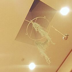 壁/天井のインテリア実例 - 2016-05-24 23:37:28