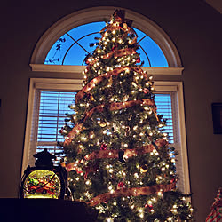 リビング/クリスマスツリー☆/ツリーライト/眺めてほっこりするもの♪/クリスマスまであと少し...などのインテリア実例 - 2020-12-22 21:29:52