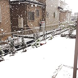 玄関/入り口/庭/植物のインテリア実例 - 2014-02-04 18:03:01