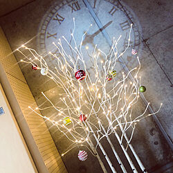 クリスマスディスプレイ/クリスマス/クリスマスツリー/白いクリスマスツリー/白樺ツリー...などのインテリア実例 - 2020-11-06 06:00:24