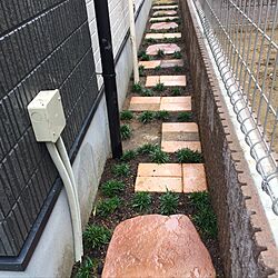 玄関/入り口/にわ/りゅうのひげ/石畳のインテリア実例 - 2016-10-01 16:32:48