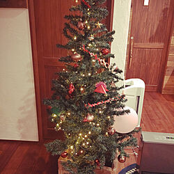 リビング/クリスマス/クリスマスツリー/クリスマス飾り/ニトリのインテリア実例 - 2021-12-12 18:52:56