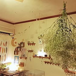 部屋全体/観葉植物/照明/ナチュラル/一人暮らし...などのインテリア実例 - 2016-12-10 22:50:17