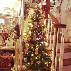 リビング/クリスマスツリー/階段の手すり/階段手すり/階段...などのインテリア実例 - 2014-11-25 16:48:56