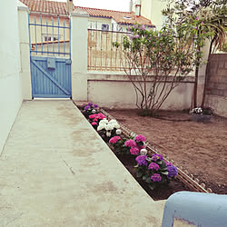 玄関/入り口/garden/Flowers/flower/doorのインテリア実例 - 2020-03-04 10:10:51