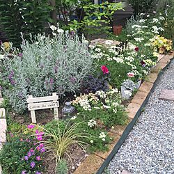 ベッド周り/植物/ガーデニング/ガーデン/手作りの庭...などのインテリア実例 - 2016-05-24 16:52:51
