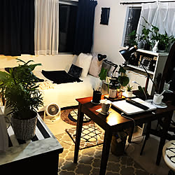 部屋全体/Francfranc/観葉植物/ニトリ/Tokyo interior...などのインテリア実例 - 2018-05-15 02:25:05