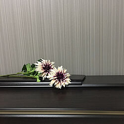 ピアノ/電子ピアノ/魅せる/美しく/いつも花を...などのインテリア実例 - 2020-09-10 16:15:37