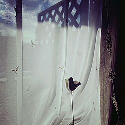窓/小鳥のインテリア実例 - 2013-10-07 17:03:20