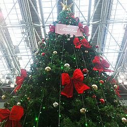 玄関/入り口/北海道/こどもと暮らす。/christmas tree/家の写真じゃなくてごめんねのインテリア実例 - 2016-12-25 10:25:43