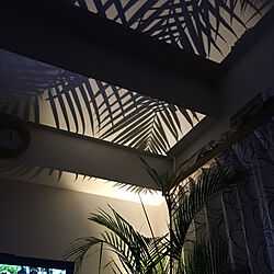 間接照明のある暮らし/ハワイアンインテリア/観葉植物/壁/天井のインテリア実例 - 2019-04-15 00:22:18