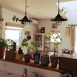 部屋全体/RC宮城支部/植物のある暮らし/観葉植物/雑貨...などのインテリア実例 - 2017-05-23 13:35:49