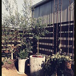 玄関/入り口/庭/植物/DIYのインテリア実例 - 2014-05-02 22:38:33