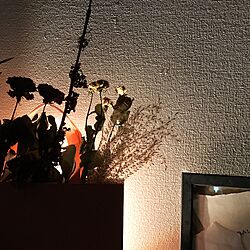 壁/天井/照明/ドライフラワー/一人暮らし/雑貨のインテリア実例 - 2017-03-24 02:18:48