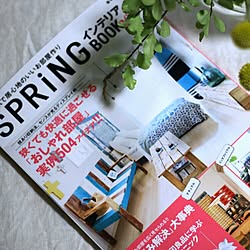 記録/掲載誌/雑誌掲載/宝島社/spring...などのインテリア実例 - 2016-12-30 19:11:44