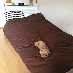 ベッド周り/愛犬のためにベッド低くDIY/ベッドの高さDIYで低く/中古ベッドペイント/シングルベッド中古...などのインテリア実例 - 2017-04-09 14:12:58