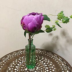 100均/花瓶/お花のある生活❁/リビングのインテリア実例 - 2021-06-04 10:13:14
