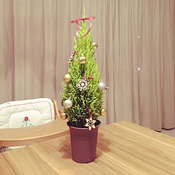 リビング/観葉植物/セリアのインテリア実例 - 2015-12-01 01:53:53