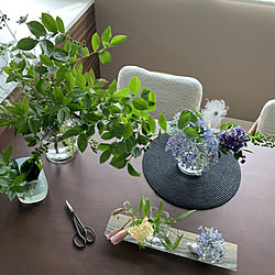 紫陽花/ZARA HOME/植物のある暮らし/心地よい暮らし/観葉植物...などのインテリア実例 - 2022-06-20 09:57:57